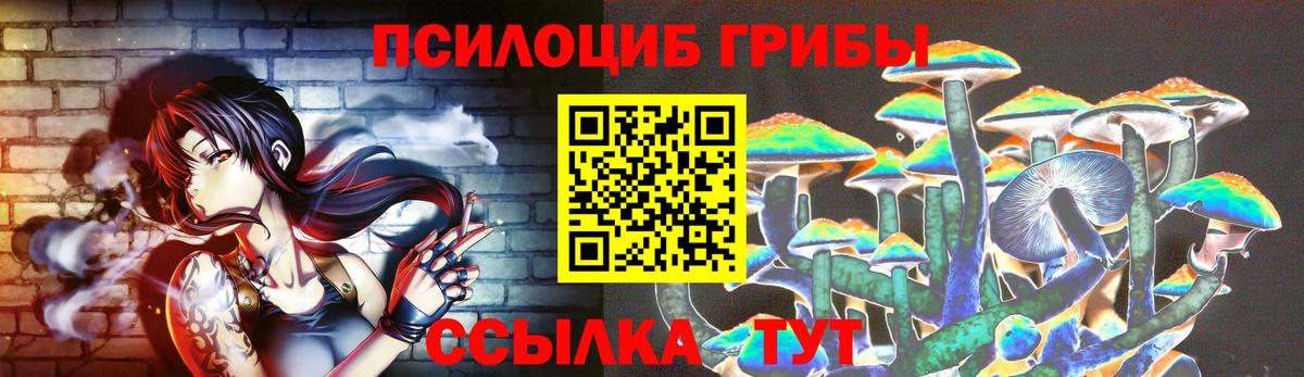 Губаха  Псилоцибиновые грибы GOLDEN TEACHER  дарнет шоп  Вход с VPN 